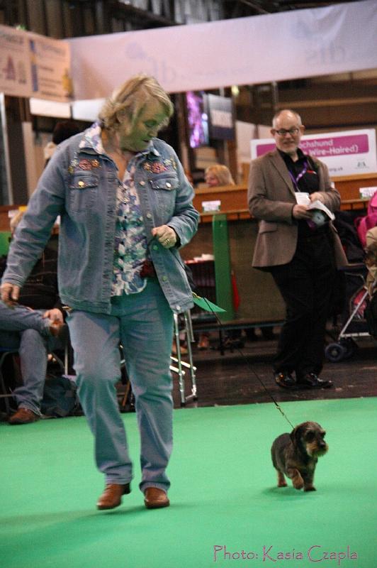 Crufts2011_2 1627.jpg